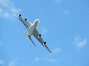 C919飞机首次身披五星红旗