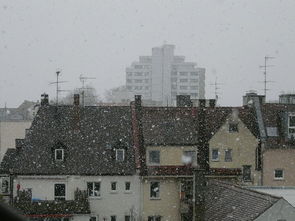 山东一市场因暴雪棚顶坍塌